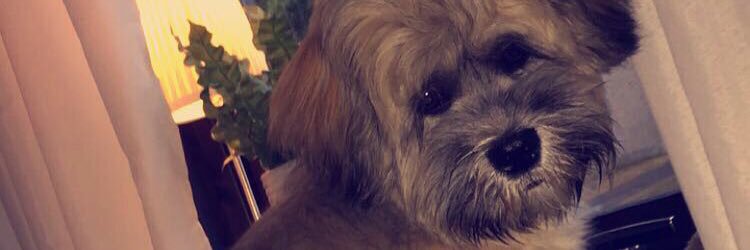 anniehenrietta's profile banner image