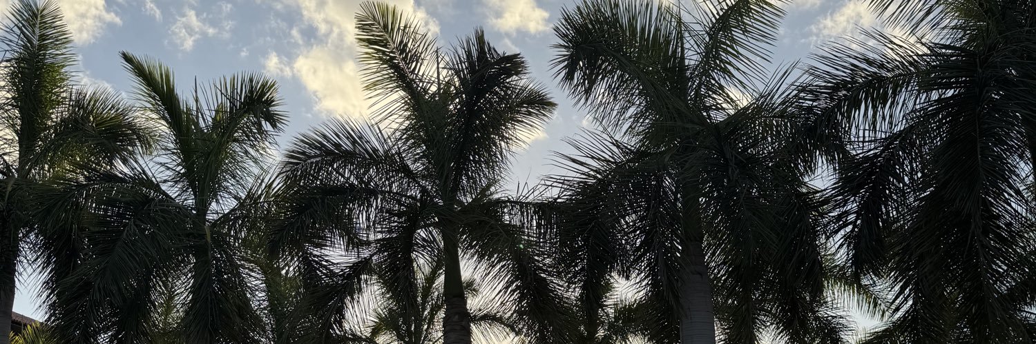 JoeDob98's profile banner image