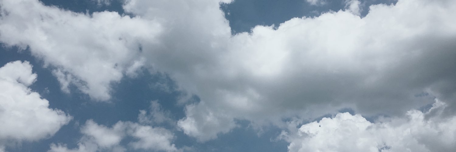 AnjFlo's profile banner image