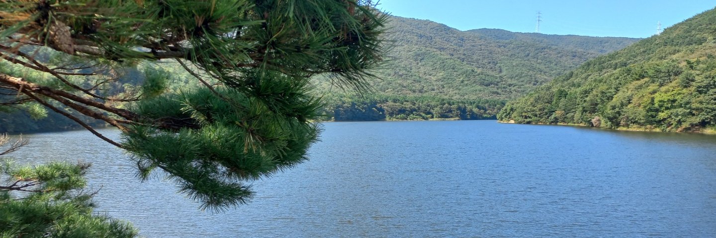 능욕중독보지은 banner