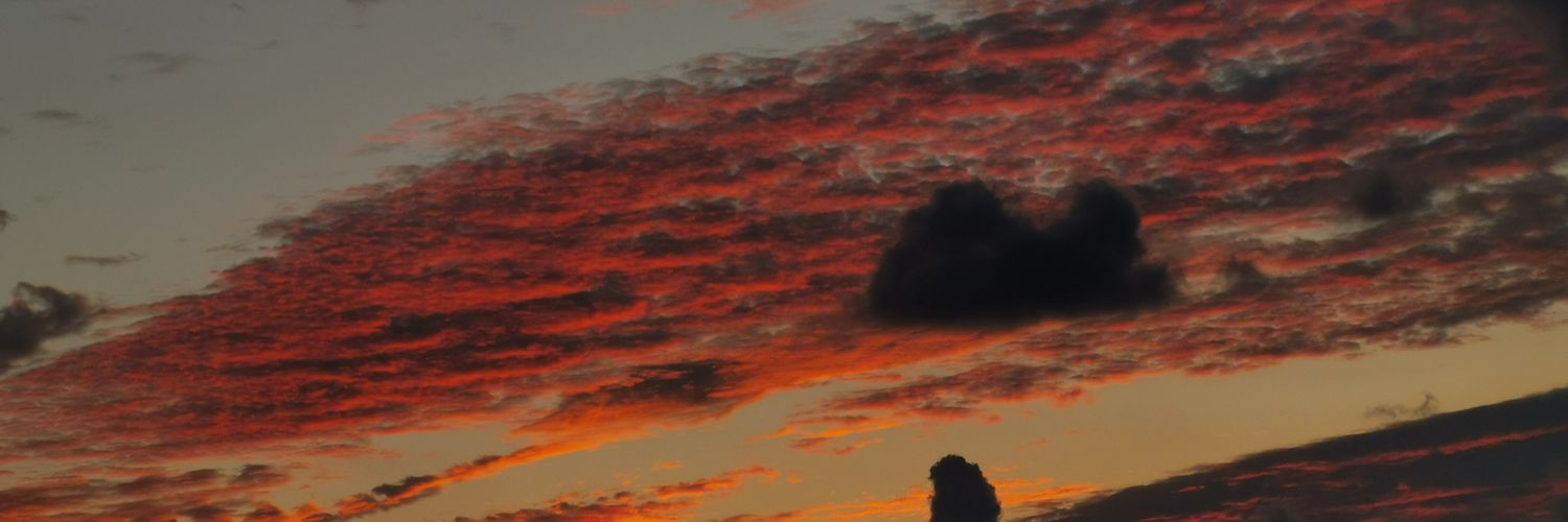 Xavsl1's profile banner image