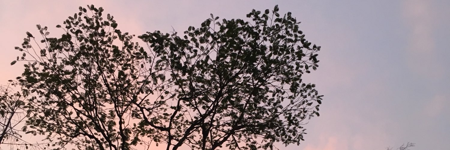 modnatnicha's profile banner image