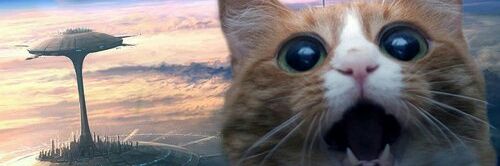 narkasich2's profile banner image