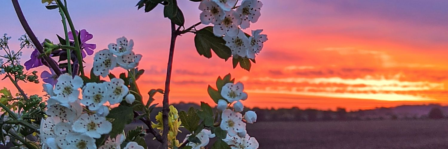 cassey_beck's profile banner image