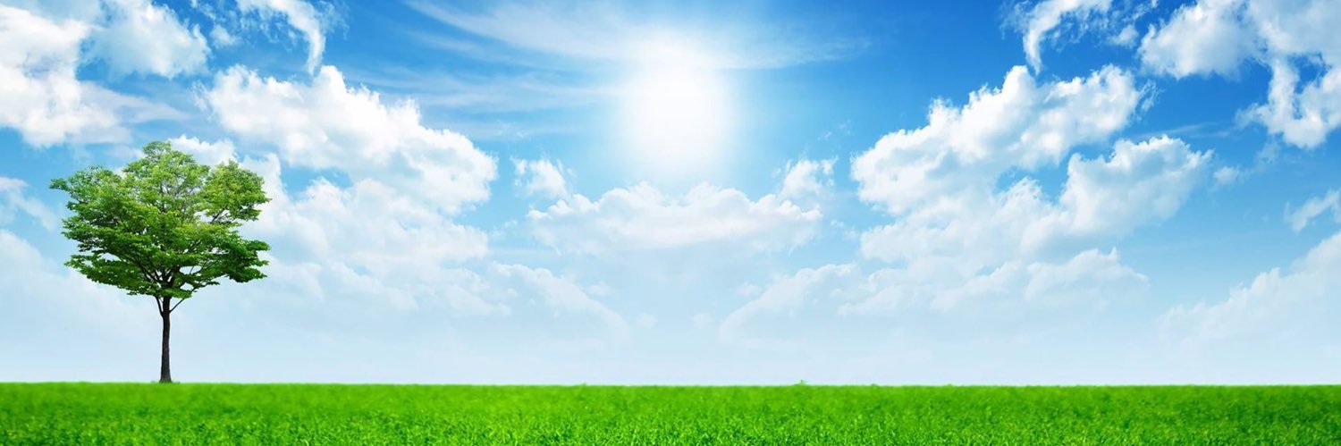 Baird Memorial PS banner