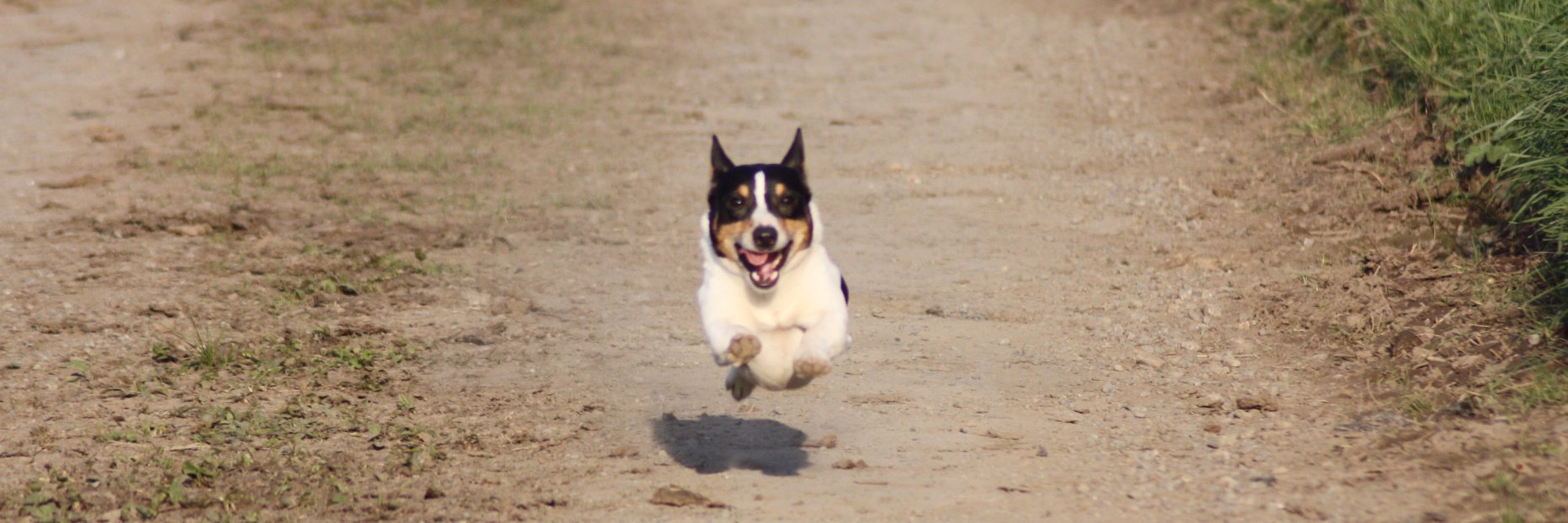 Anne Marie Duff banner