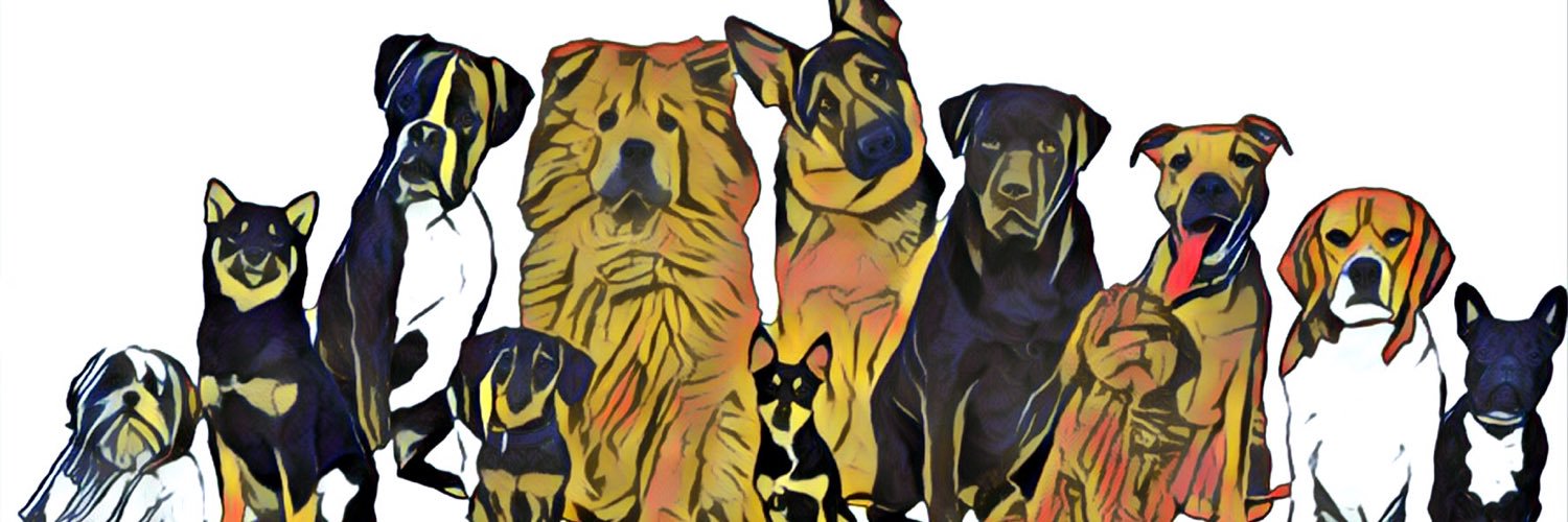 CookasCookies's profile banner image