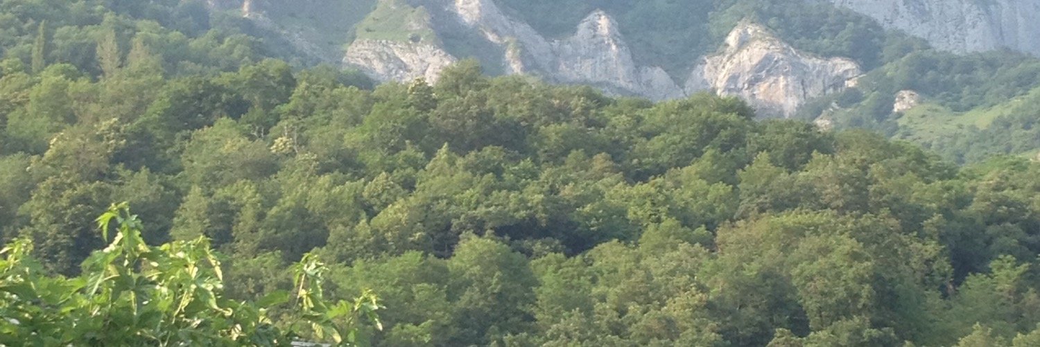 christiancausse's profile banner image