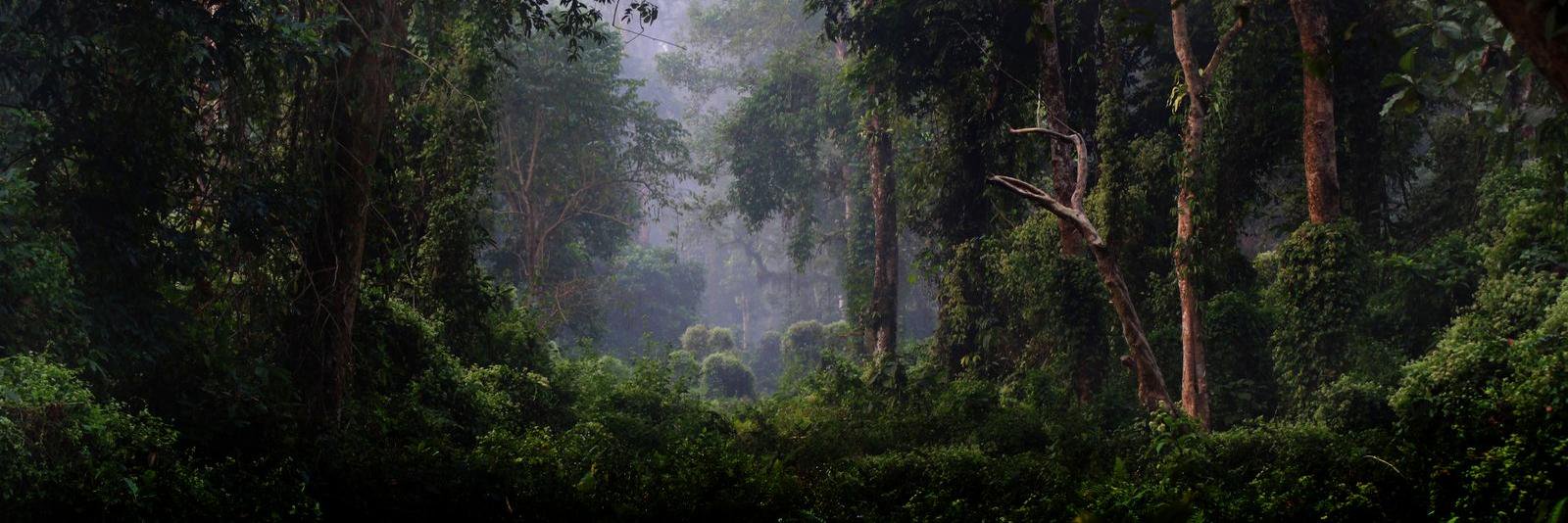 dcpexpeditions's profile banner image