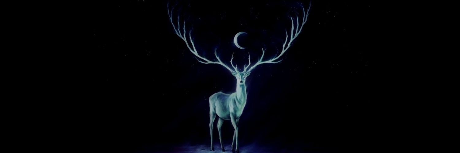 1_tuzun's profile banner image