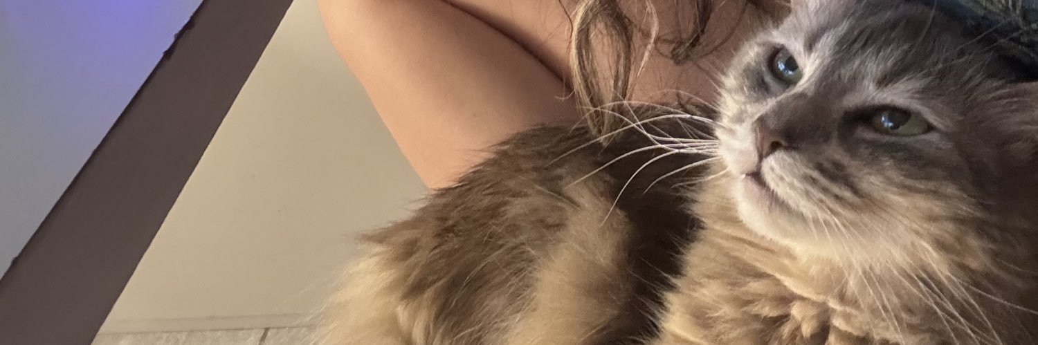 dobbeling's profile banner image
