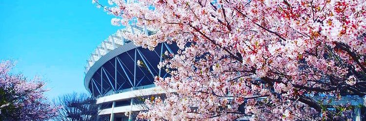 じゅにゃっち banner