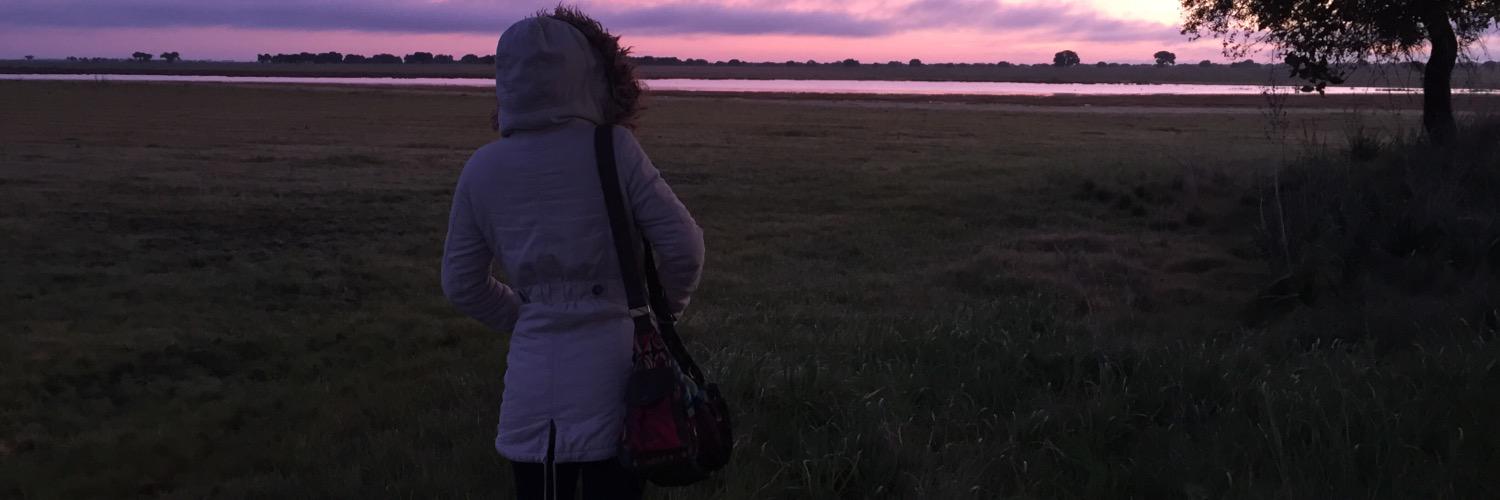 BeaCraft's profile banner image