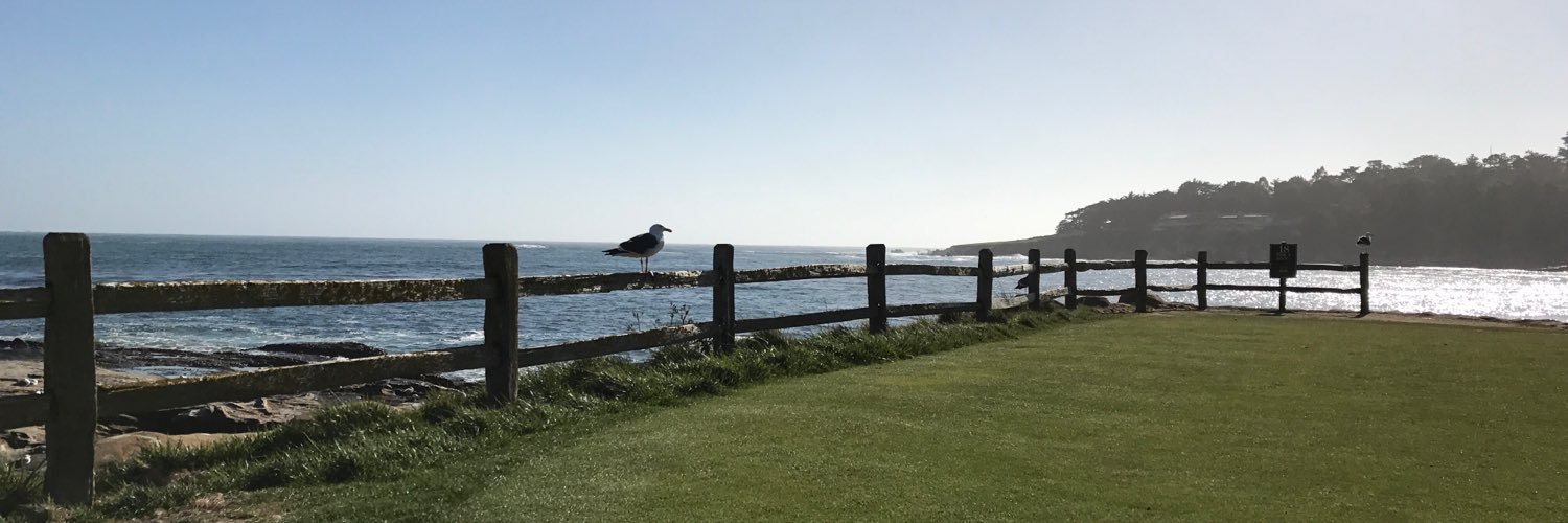 Derek Hitchner banner