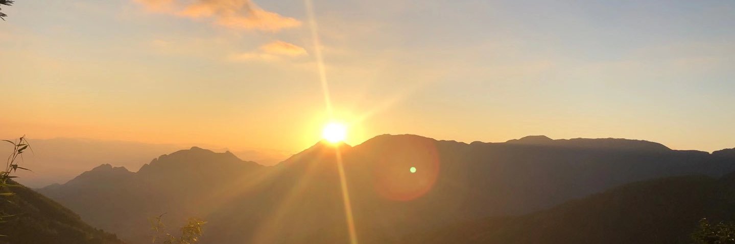 Tyro #NO STRATEGY banner