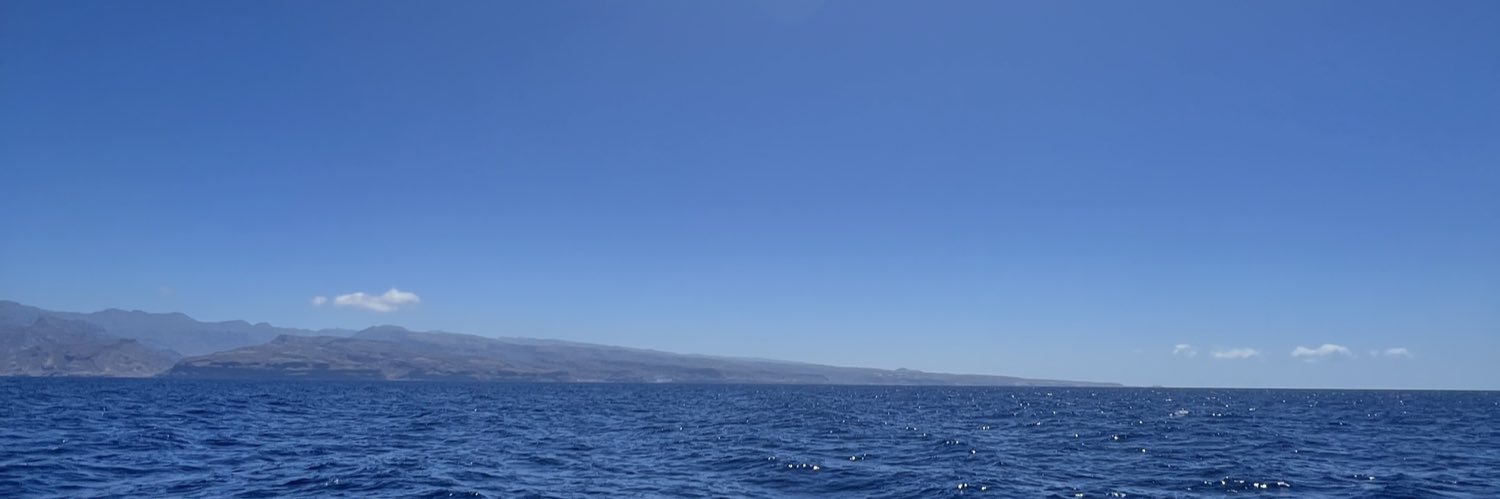 tayIormurphy's profile banner image