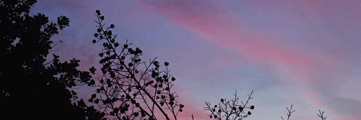 Vanessa banner