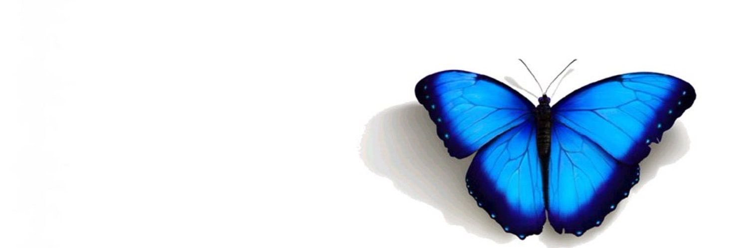 therealpebbles_'s profile banner image