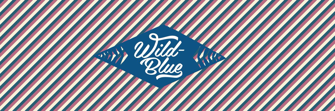 wildbluedenim's profile banner image