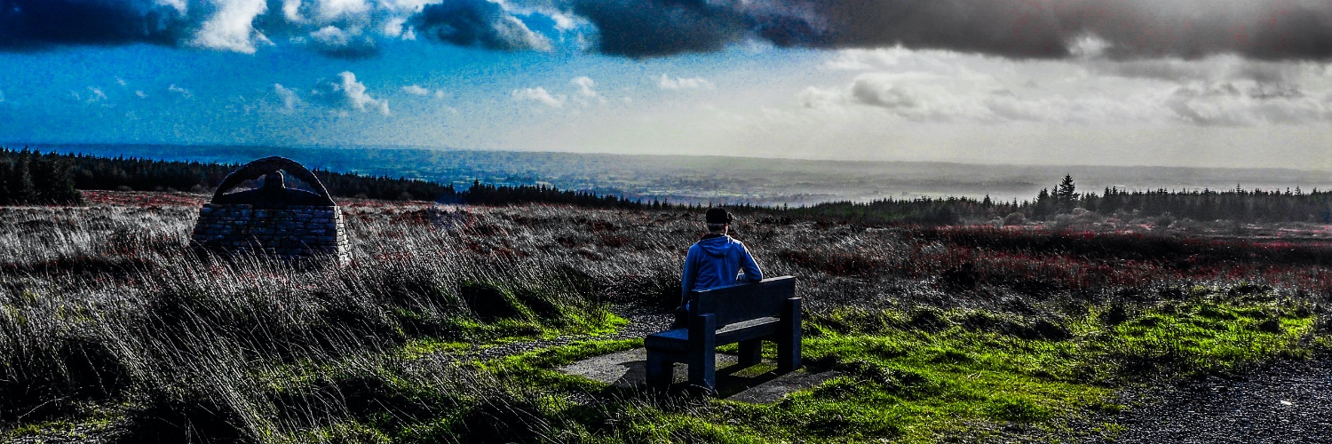 Dermot McKenna banner