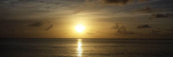 cammiabc Profile Banner