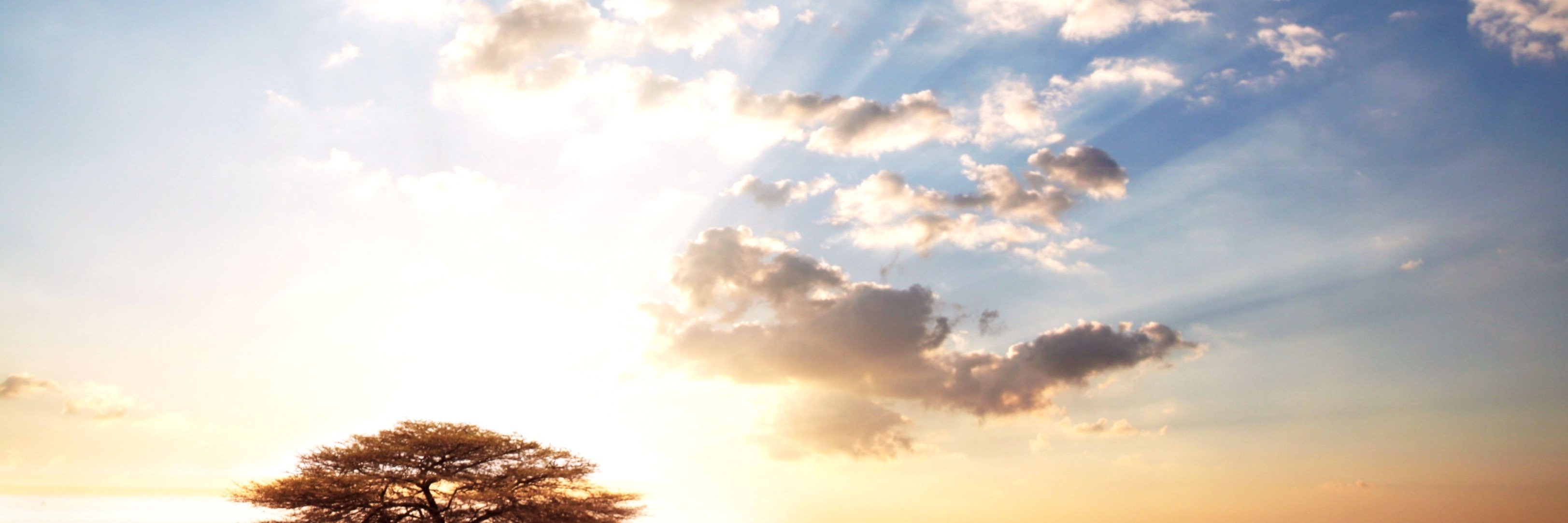 MatMattersMGA's profile banner image