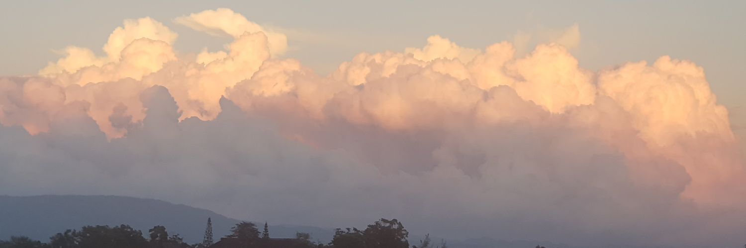 ceeliebee's profile banner image