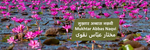 naqvimukhtar Profile Banner