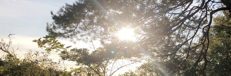 Chazxo's profile banner image