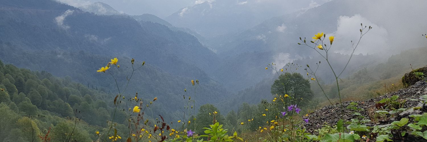 gulsn's profile banner image