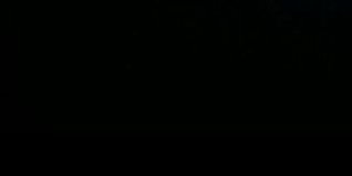Nina banner