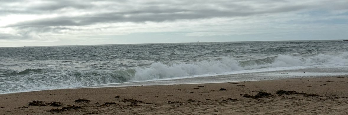 MeshO_1's profile banner image