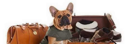 _urbanpooch's profile banner image