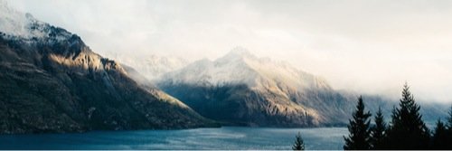 Daniel banner