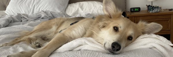 sprout_ash Profile Banner