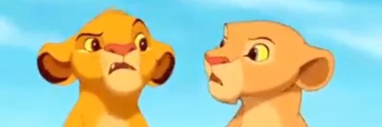 kate_vank's profile banner image