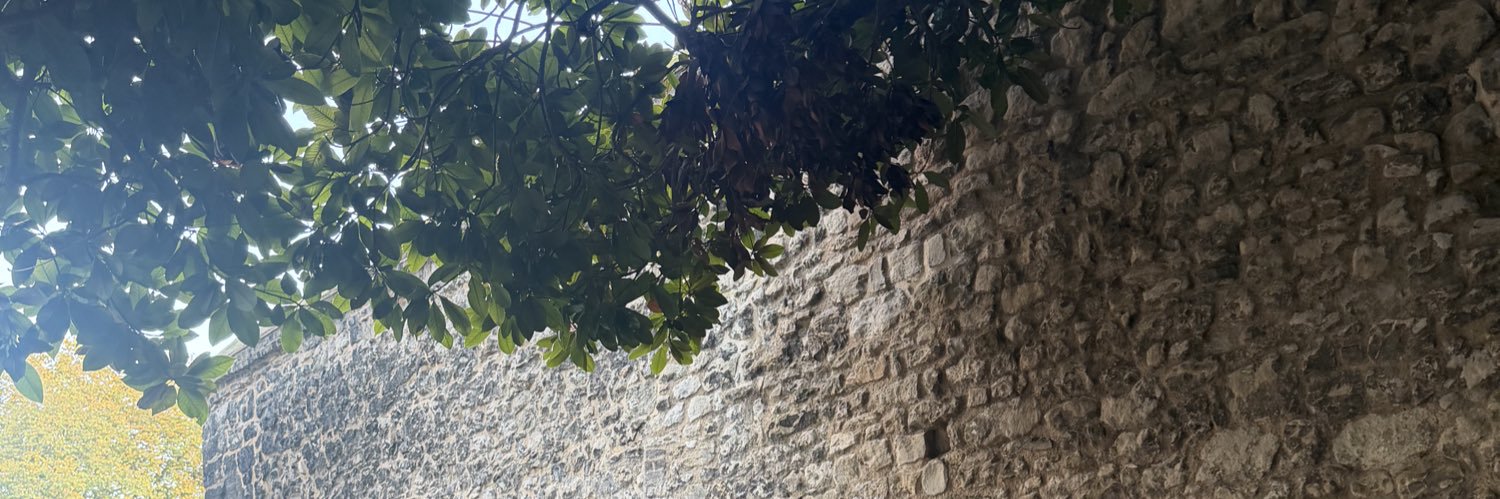 Mustafa Tantawi banner