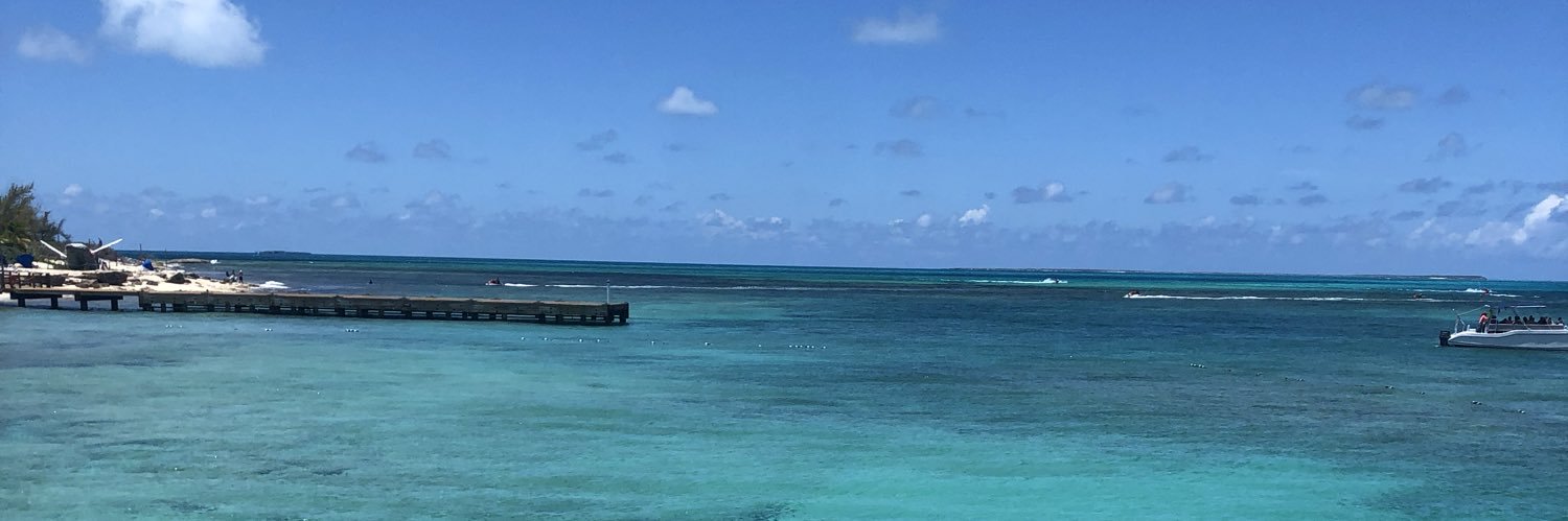Julia Taylor banner