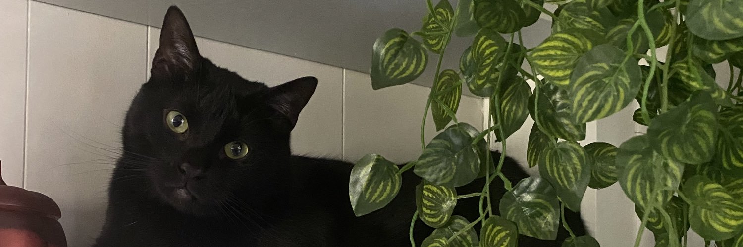 _trashcanhan's profile banner image