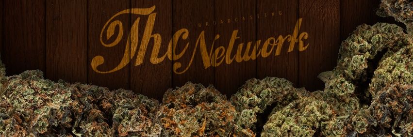 THCNetwork_Inc's profile banner image