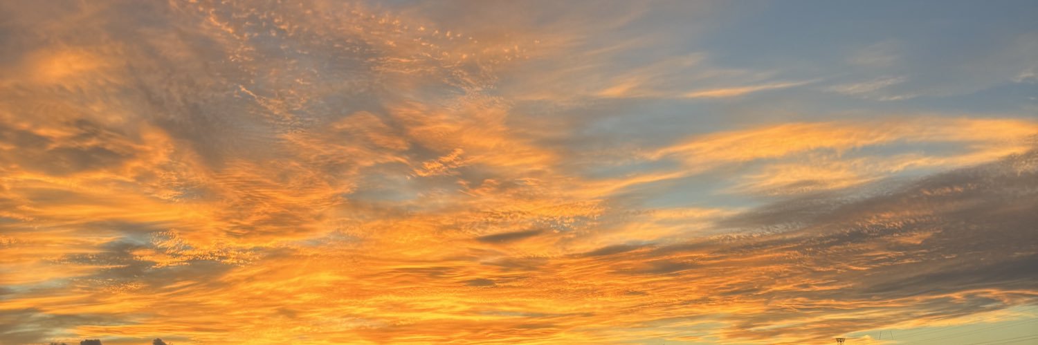 chieko0913's profile banner image