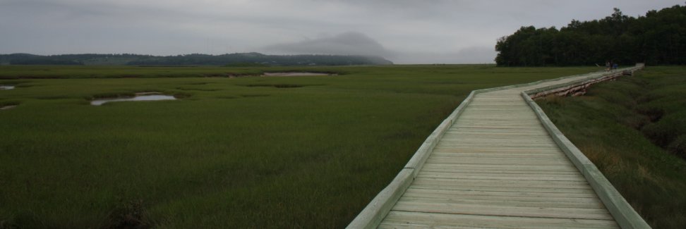 sanek4all's profile banner image