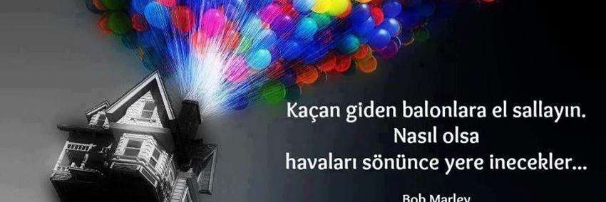 Mert Kaya banner