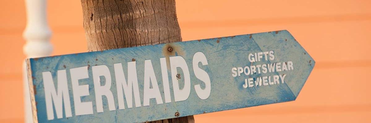 wikimermaids's profile banner image