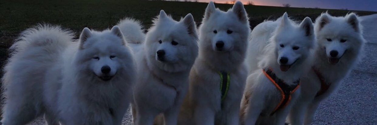 DusOnur's profile banner image