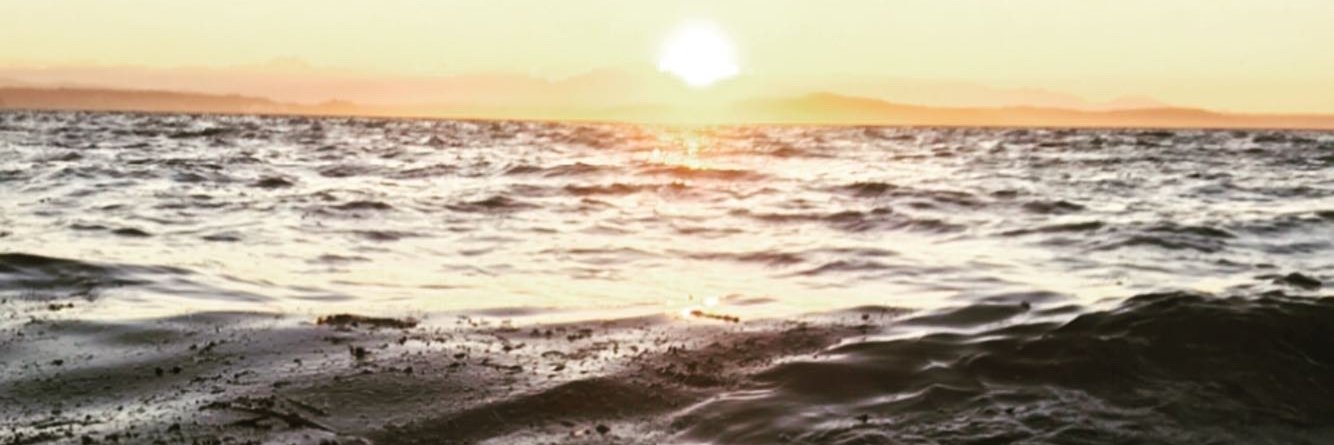 wadawgs's profile banner image