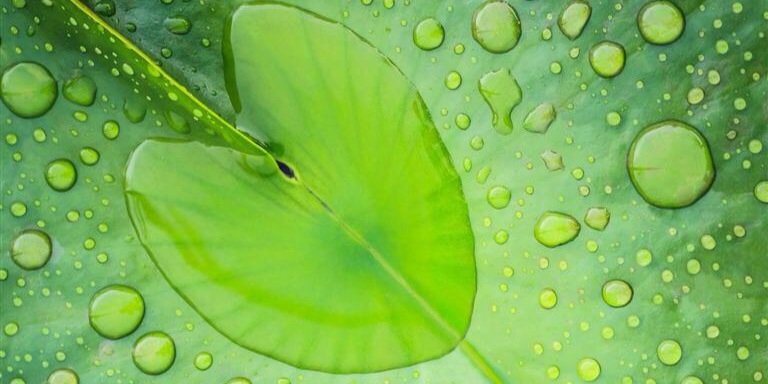 MWoodward2nd's profile banner image