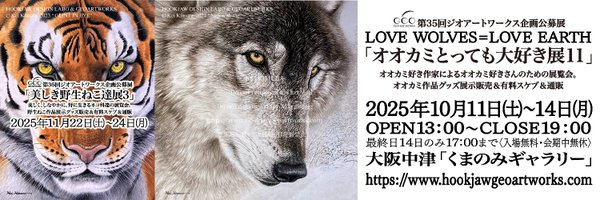bluewolf_alaska Profile Banner