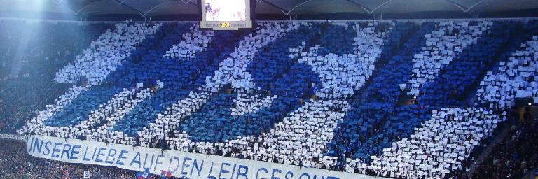 HSV_France's profile banner image