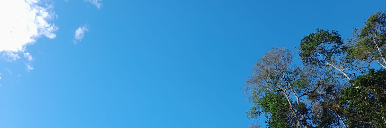 danny_salasp's profile banner image